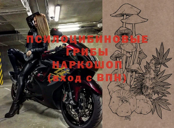 твердый Медвежьегорск