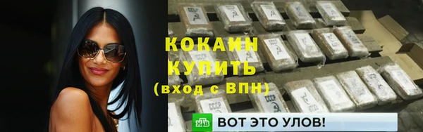 амф Мегион