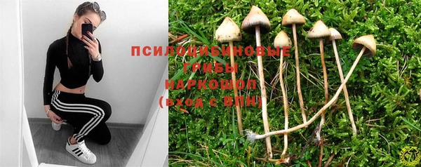 ешки Медногорск