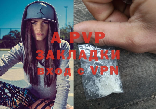spice Абаза