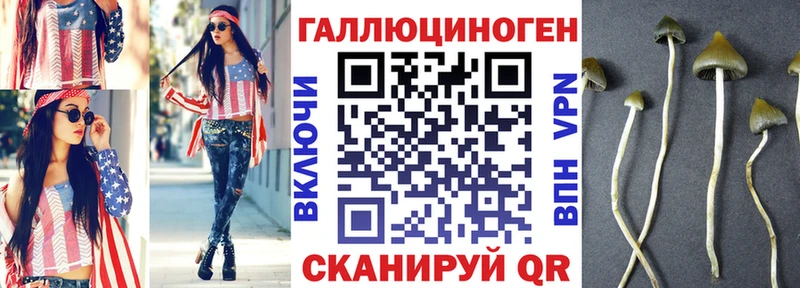 что такое Альметьевск Галлюциногенные грибы Cubensis